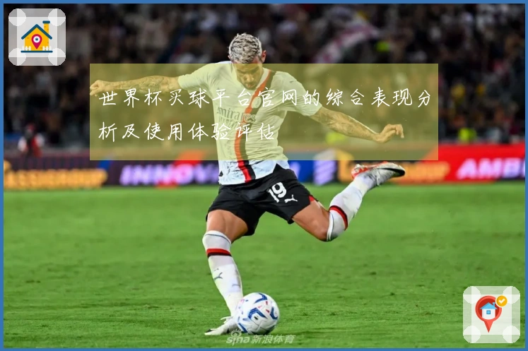 世界杯买球平台官网的综合表现分析及使用体验评估