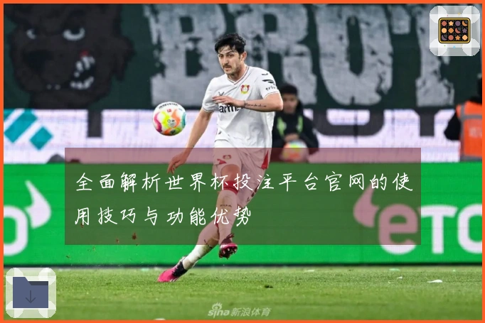 全面解析世界杯投注平台官网的使用技巧与功能优势