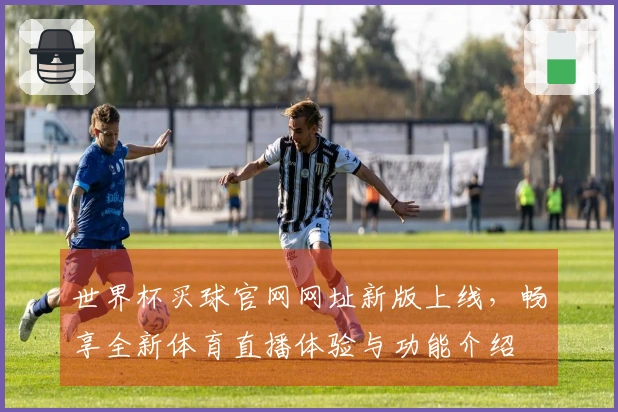 世界杯买球官网网址新版上线，畅享全新体育直播体验与功能介绍