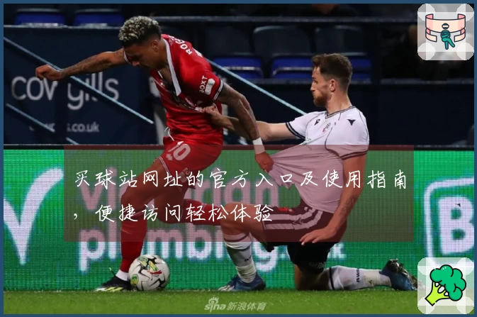 买球站网址的官方入口及使用指南，便捷访问轻松体验