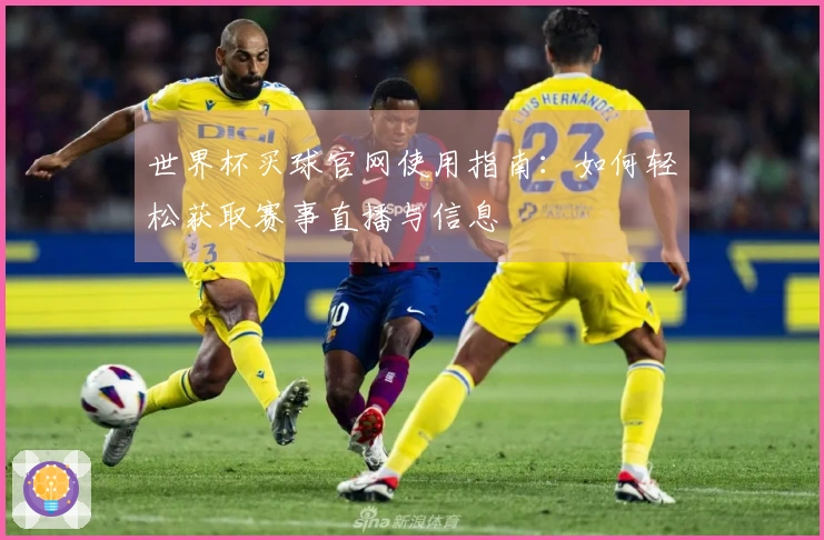 世界杯买球官网使用指南：如何轻松获取赛事直播与信息