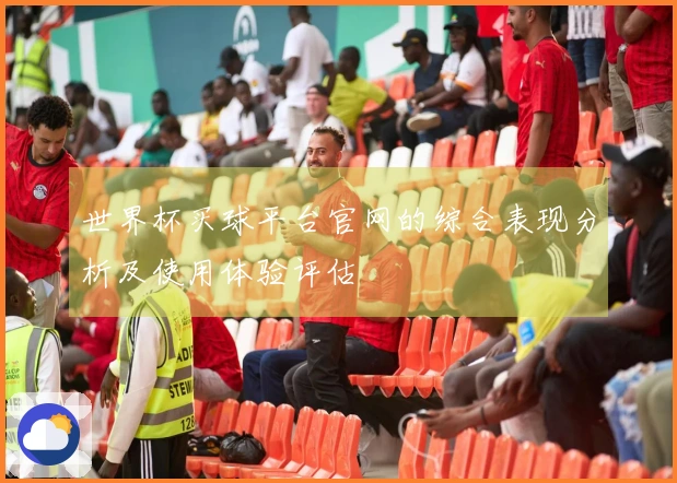 世界杯买球平台官网的综合表现分析及使用体验评估