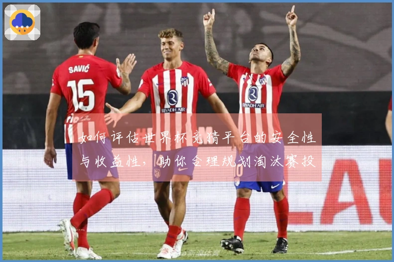 如何评估世界杯竞猜平台的安全性与收益性，助你合理规划淘汰赛投注策略