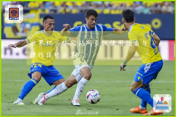 世界杯买球网站网页版使用指南与操作技巧分享