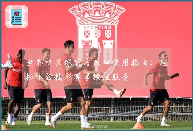 世界杯买球官方入口使用指南：轻松体验精彩赛事投注服务