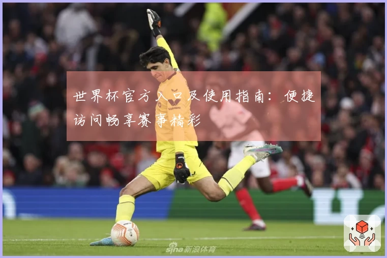 世界杯官方入口及使用指南：便捷访问畅享赛事精彩