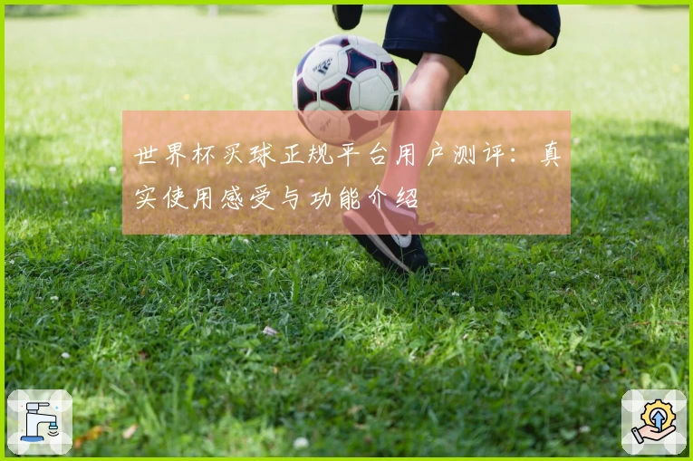 世界杯买球正规平台用户测评：真实使用感受与功能介绍