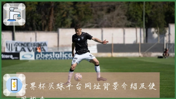 世界杯买球平台网址背景介绍及使用指南